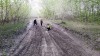 Sándorfalvi Terep Félmaraton 2015. tervezett útvonal Sándorfalvi Terep Félmaraton 2015. tervezett útvonal
